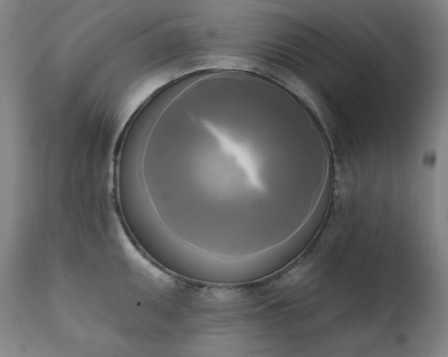 X0000111221095200907091305