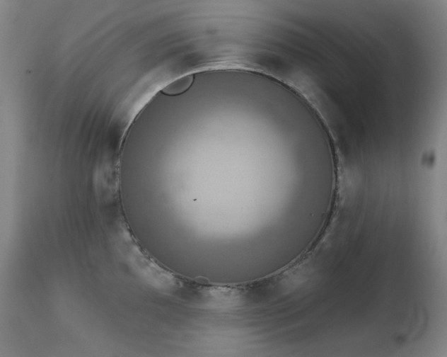 X0000111221097200907091305