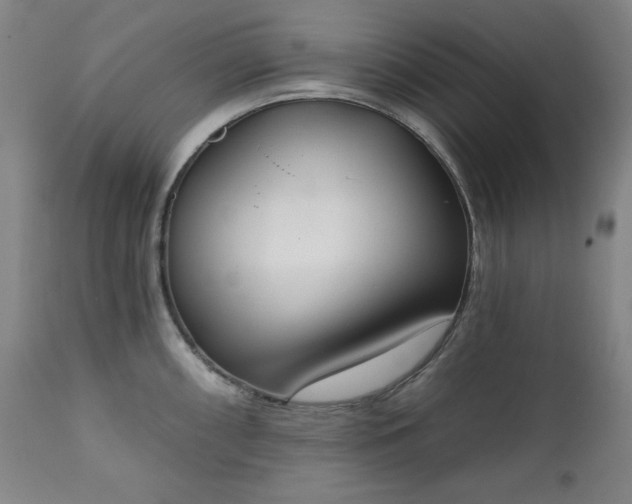 X0000111221098200907091305