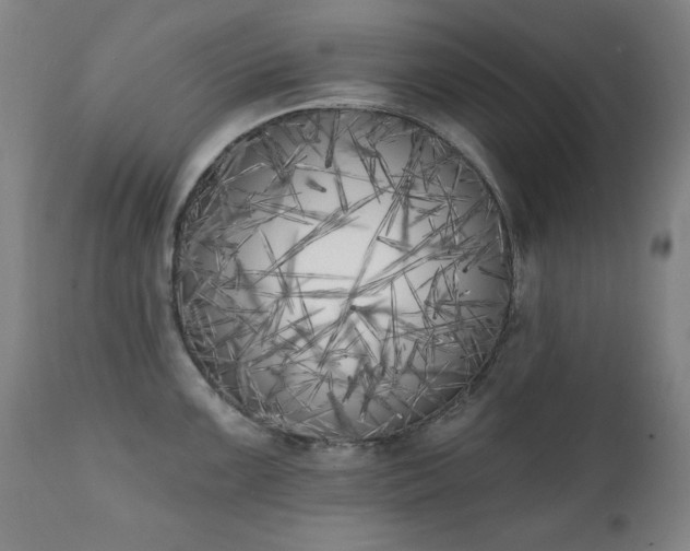 X0000111221099200907091305
