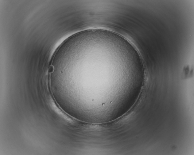X0000111221100200907091305