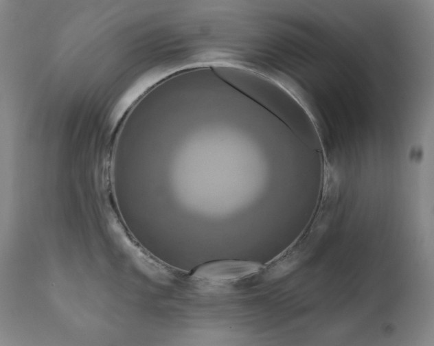 X0000111221101200907091305