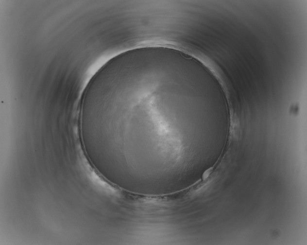 X0000111221102200907091305
