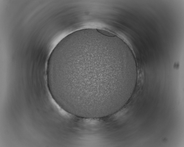 X0000111221103200907091305