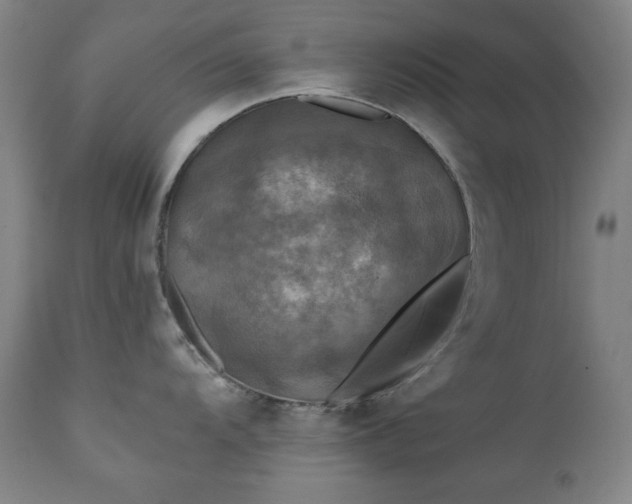 X0000111221104200907091305
