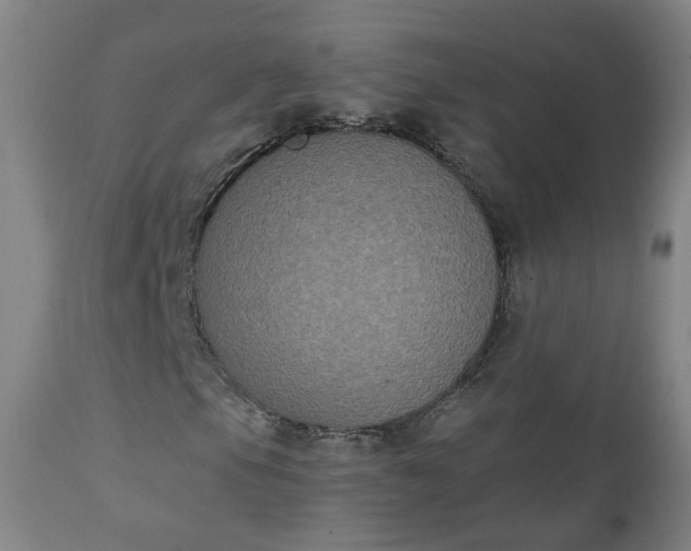 X0000111221105200907091304