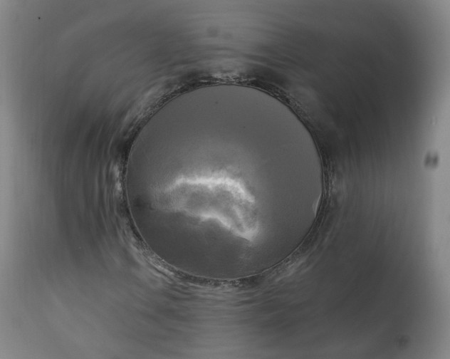 X0000111221106200907091305
