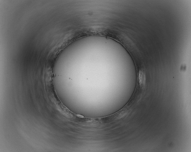 X0000111221107200907091305