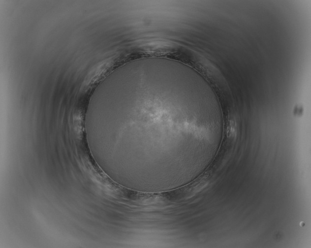 X0000111221108200907091305