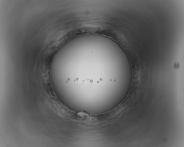 X0000111221109200907091305