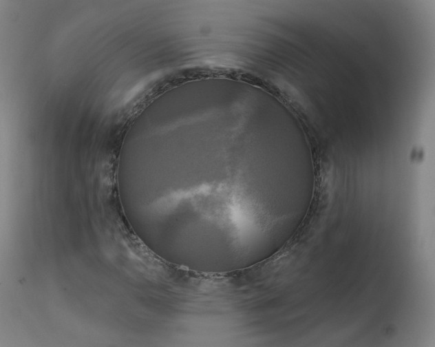 X0000111221110200907091305