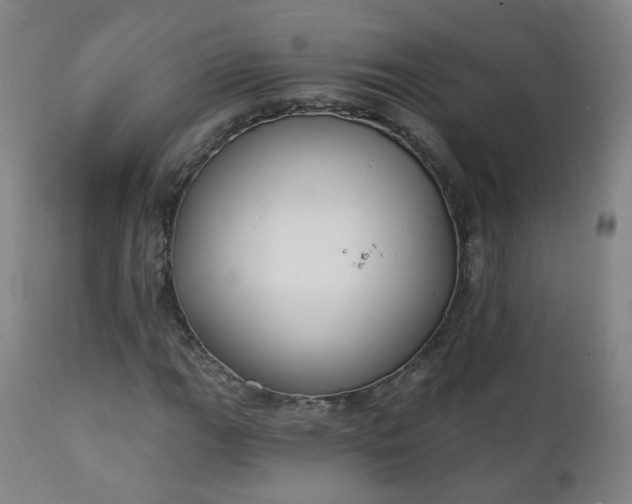 X0000111221111200907091305