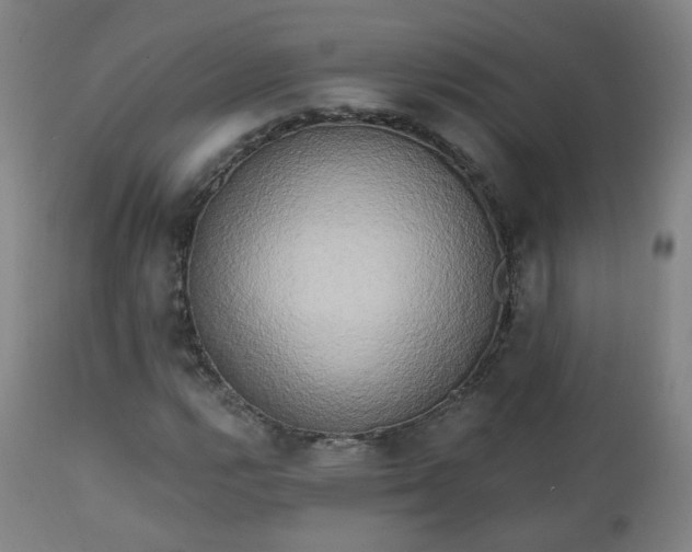 X0000111221112200907091305