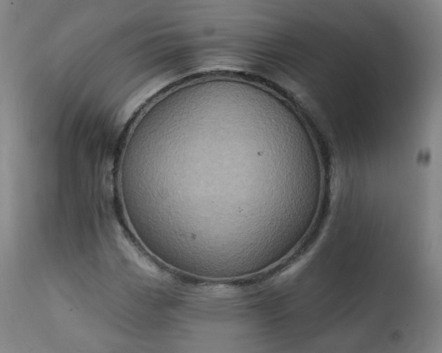 X0000111221113200907091305