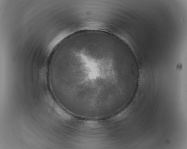 X0000111221114200907091305