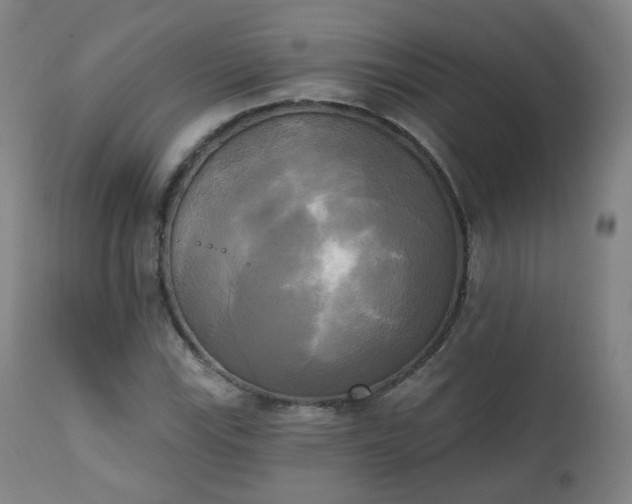 X0000111221115200907091305