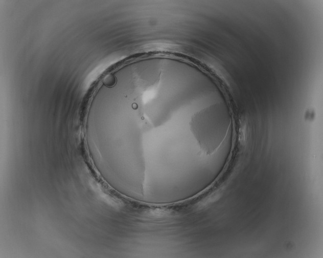 X0000111221117200907091305