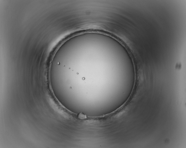 X0000111221118200907091305