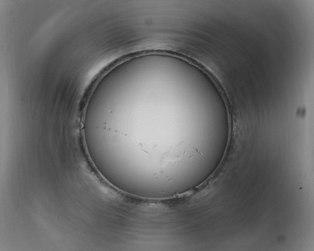 X0000111221119200907091305