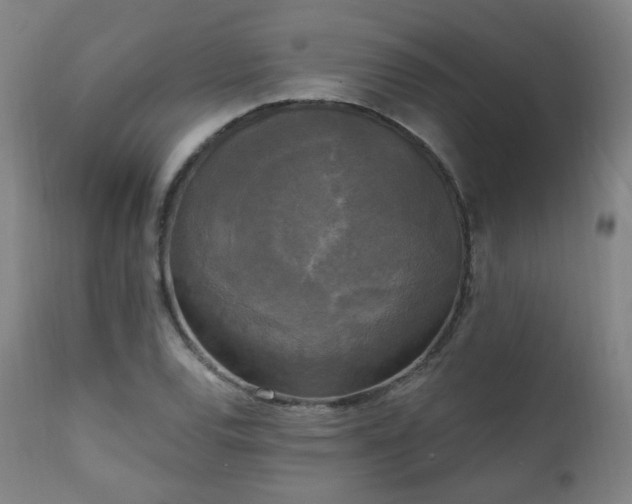 X0000111221120200907091305