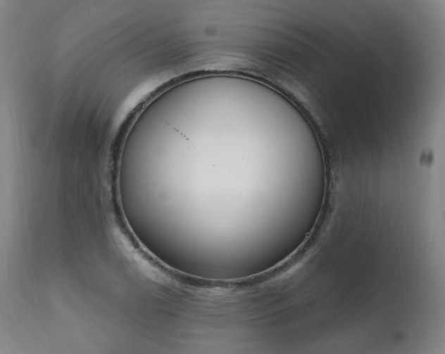 X0000111221122200907091305