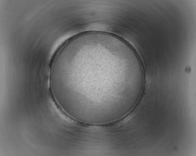 X0000111221123200907091305
