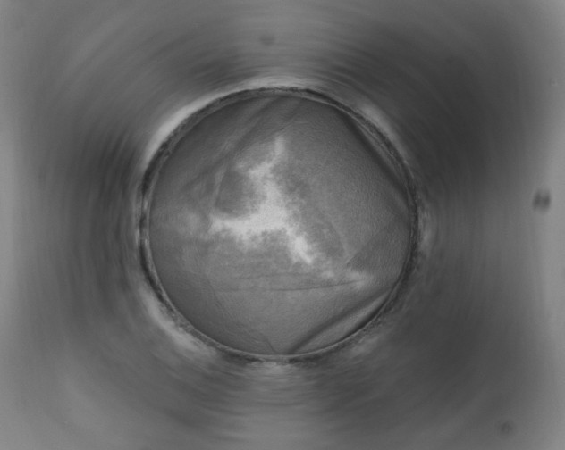 X0000111221124200907091305