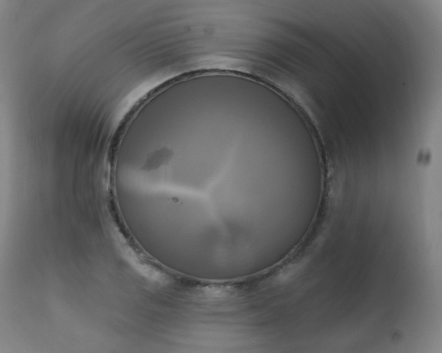X0000111221125200907091305
