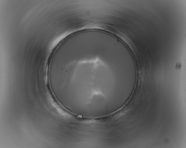 X0000111221127200907091305