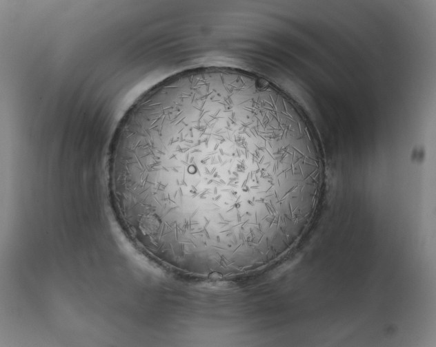 X0000111221133200907091305