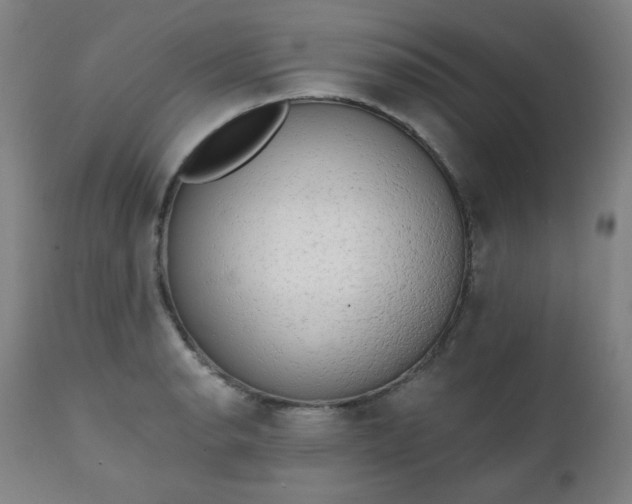 X0000111221134200907091305