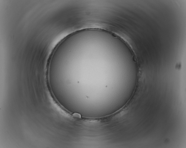 X0000111221135200907091305