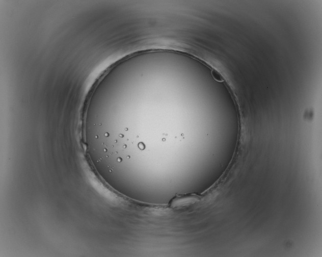 X0000111221136200907091305