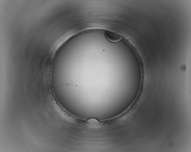 X0000111221137200907091305