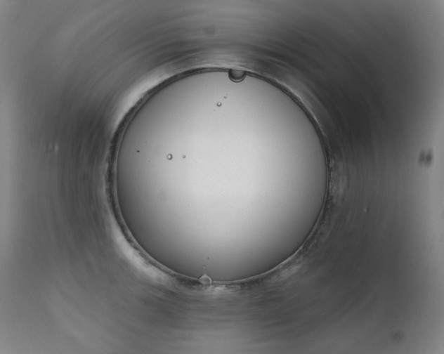 X0000111221139200907091305