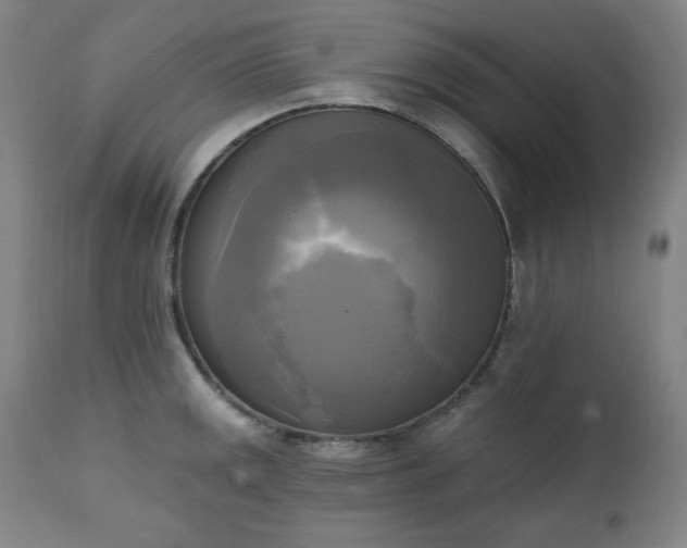 X0000111221141200907091305
