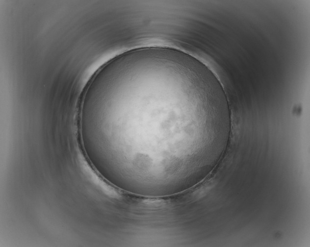 X0000111221142200907091305