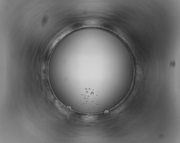X0000111221145200907091305