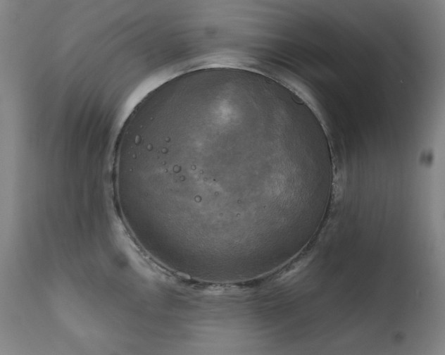 X0000111221146200907091305