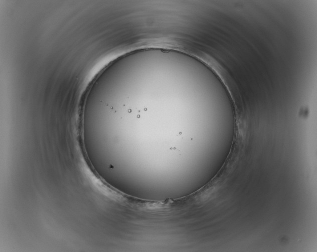 X0000111221147200907091305
