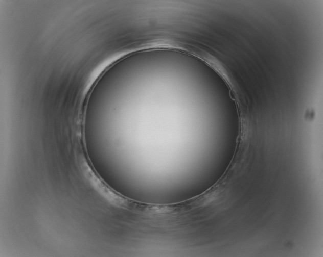 X0000111221148200907091305