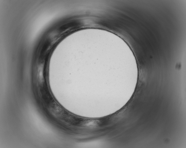 X0000111221150200907091305