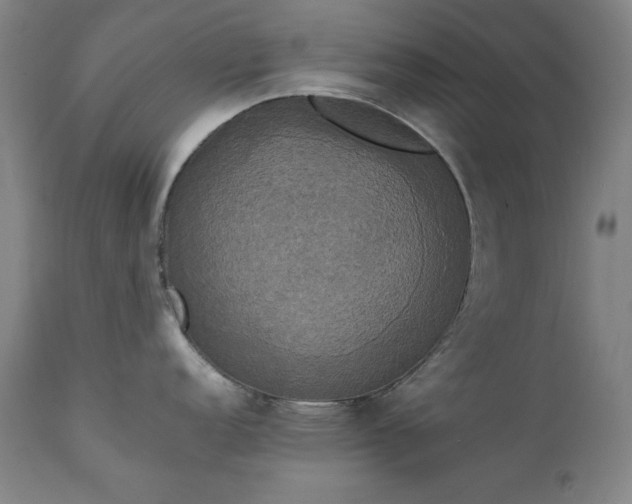 X0000111221152200907091305