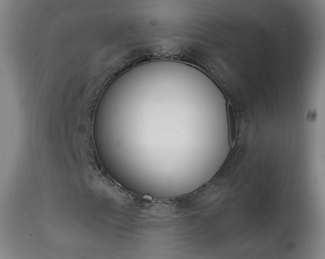 X0000111221153200907091304