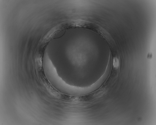 X0000111221155200907091304