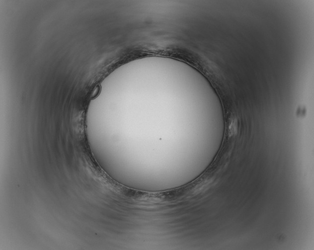 X0000111221156200907091304