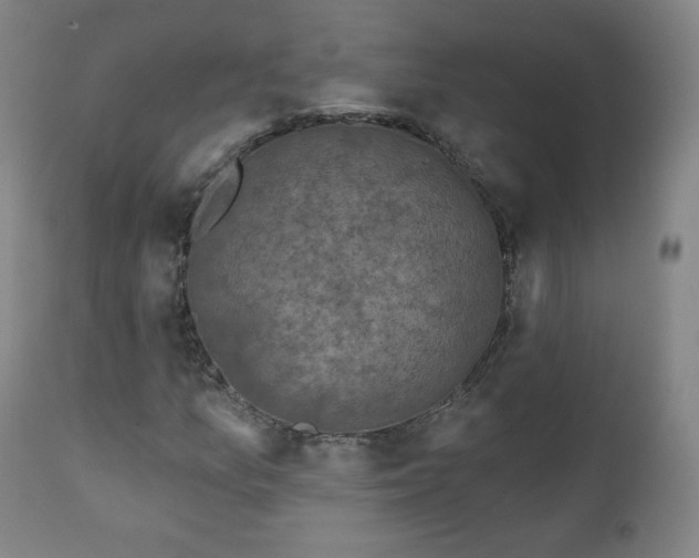 X0000111221157200907091304