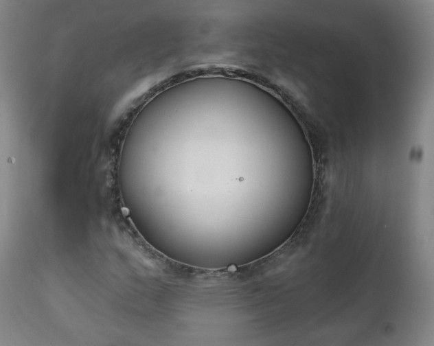 X0000111221159200907091304