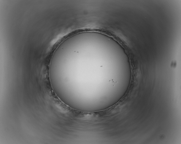 X0000111221160200907091304