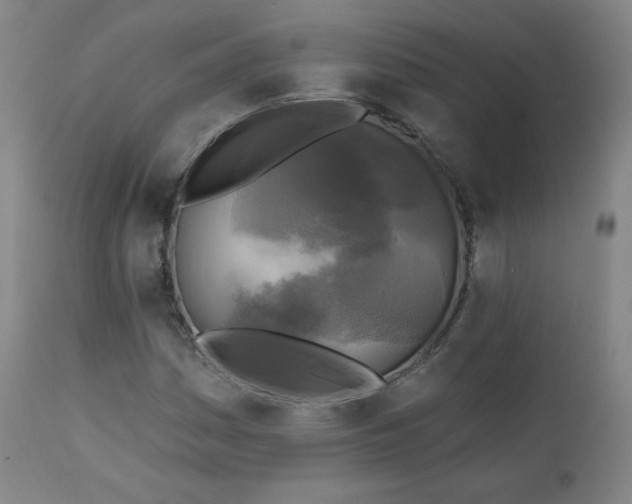 X0000111221161200907091304